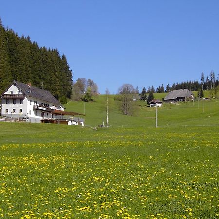 Gasthaus Pension Donishausle Тітізе-Нойштадт Екстер'єр фото