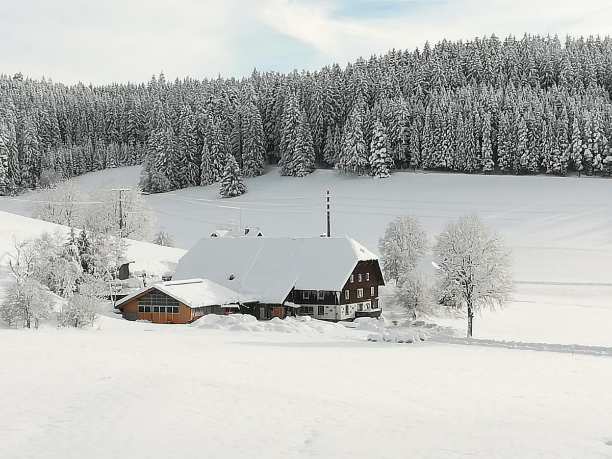 Gasthaus Pension Donishausle Тітізе-Нойштадт Екстер'єр фото