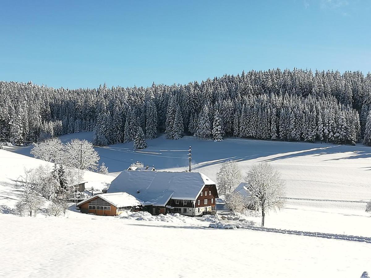 Gasthaus Pension Donishausle Тітізе-Нойштадт Екстер'єр фото