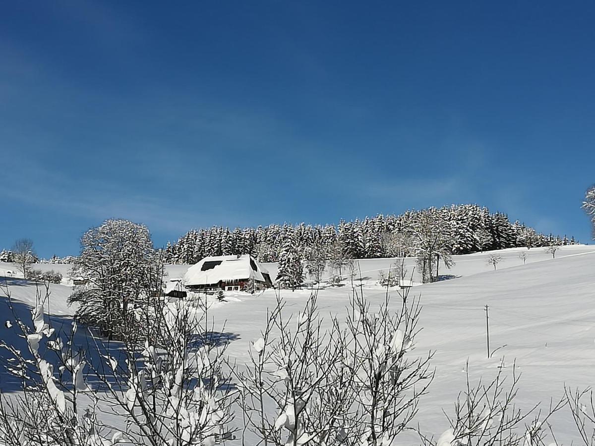 Gasthaus Pension Donishausle Тітізе-Нойштадт Екстер'єр фото