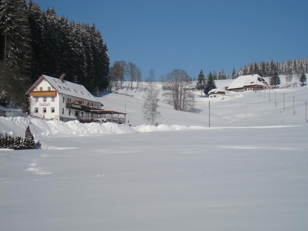 Gasthaus Pension Donishausle Тітізе-Нойштадт Екстер'єр фото